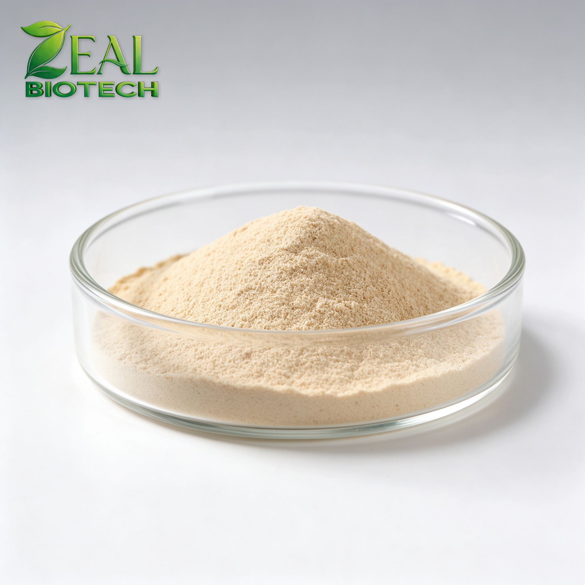 Bacillus coagulans (Weizmannia coagulans) Lactic-Acid Spore Probiotic