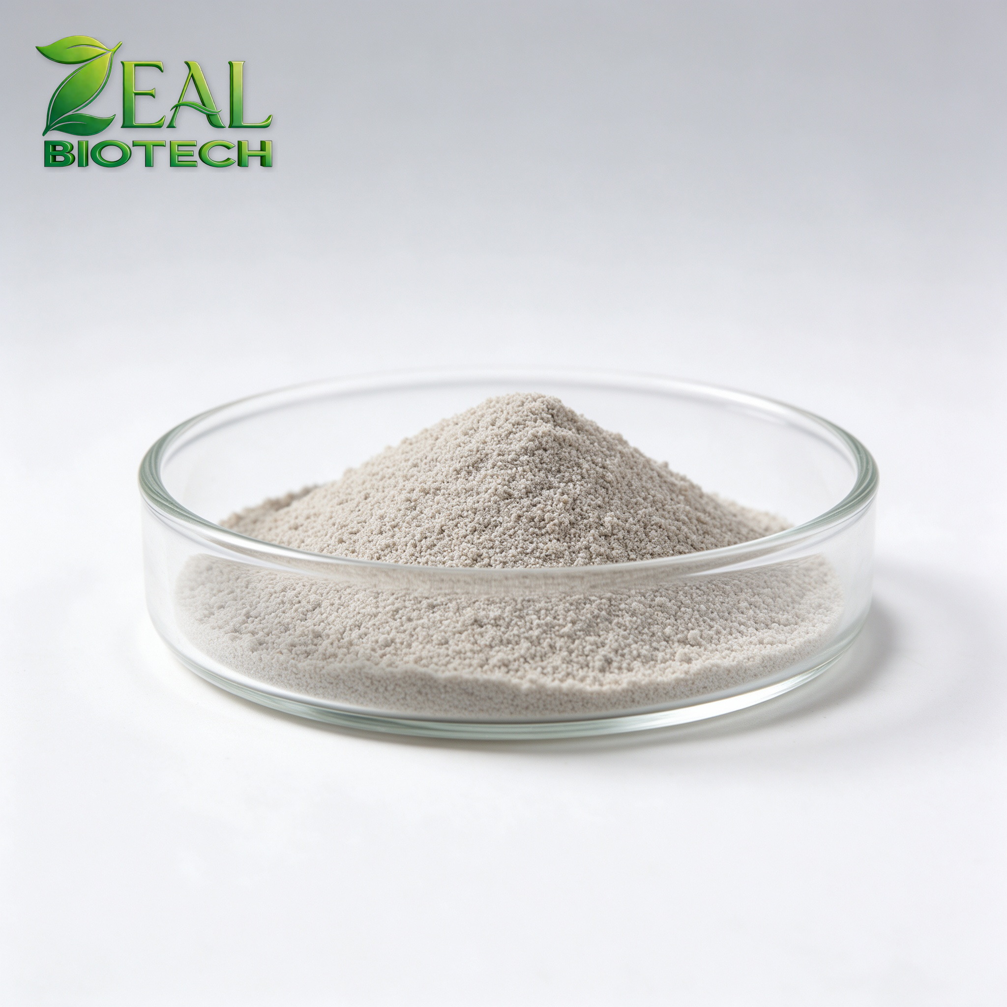 Ferrous Sulfate Monohydrate