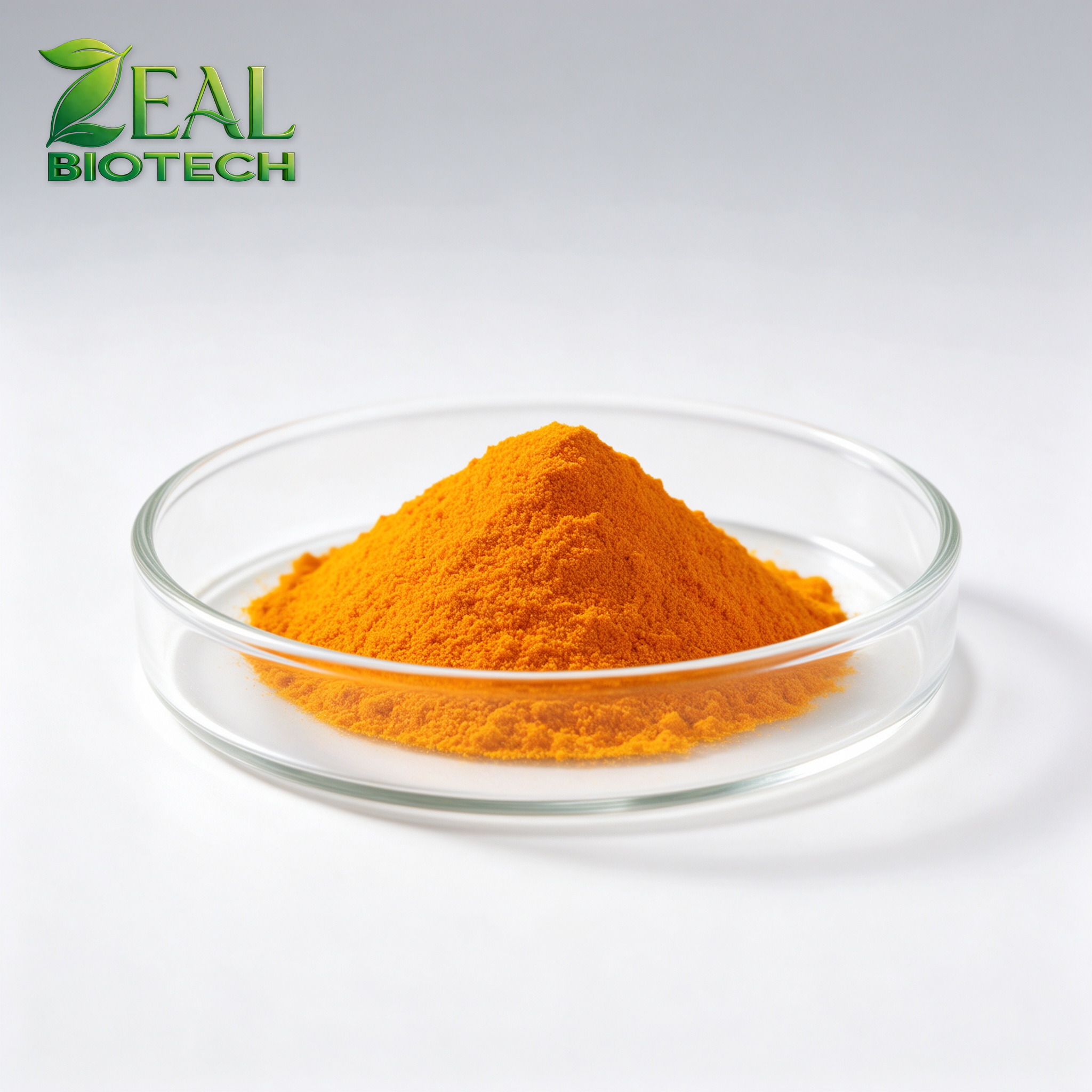 High-Purity Curcumin 90/95/98/99% Turmeric Extract