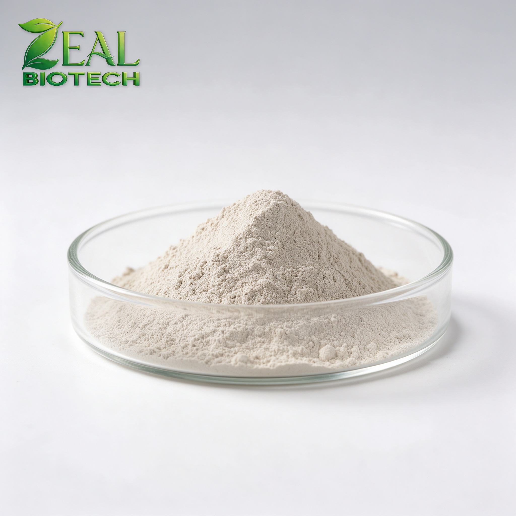 Feed-Grade Montmorillonite Mycotoxin Binder (Dioctahedral Smectite, >=90-95%, 325 mesh)