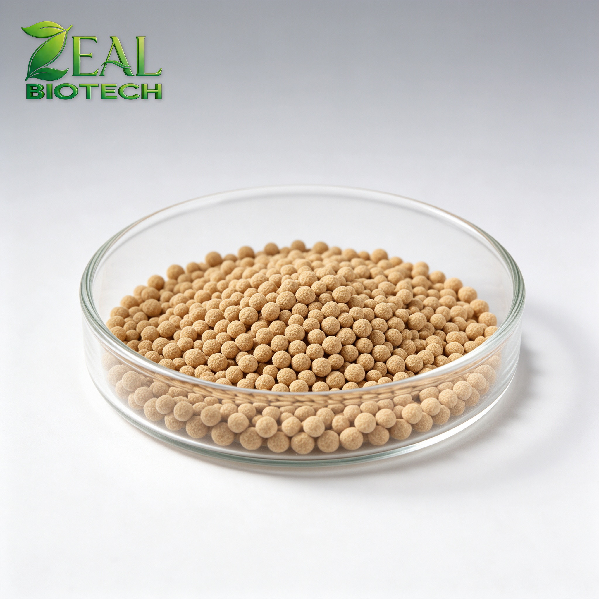 Phytase 5000 FTU/g Feed Enzyme (6-Phytase EC 3.1.3.26, Granular/Powder)